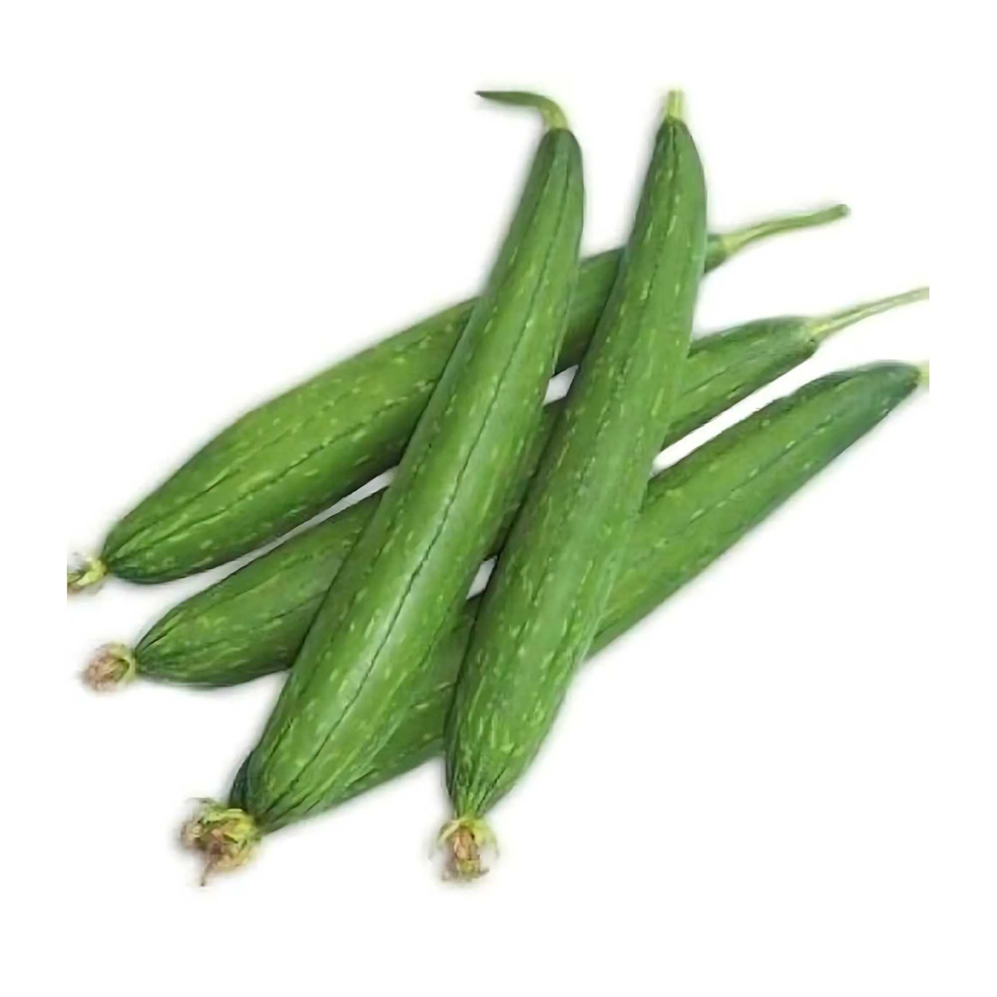 Sponge Gourd (Tori)