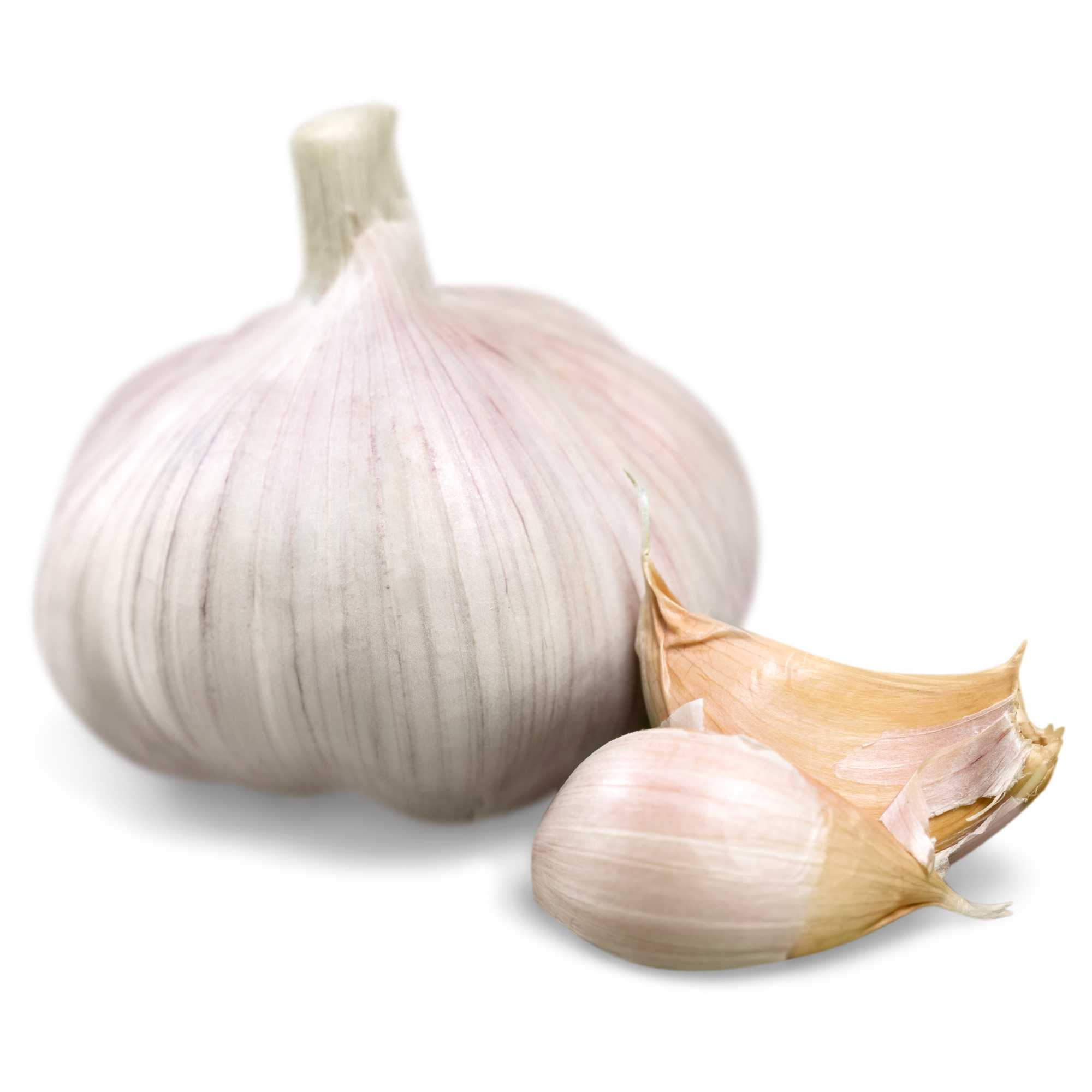 Garlic (Lehsun)